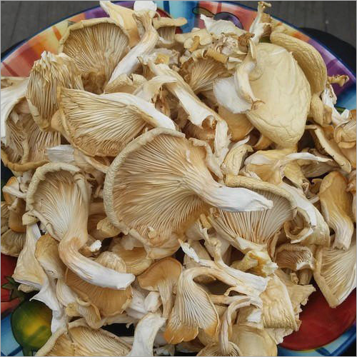 uploads/products/1777025820_Dry mushroom .jpeg